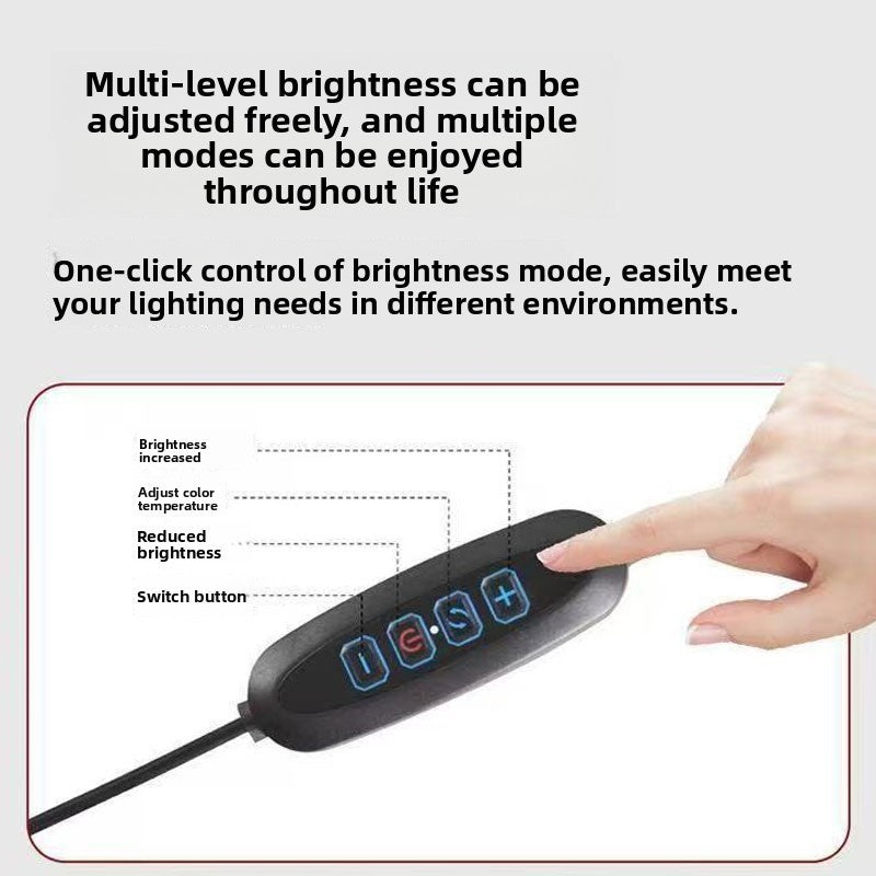 Dual-Head LED Desk Lamp