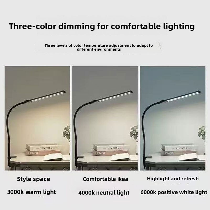 Dual-Head LED Desk Lamp