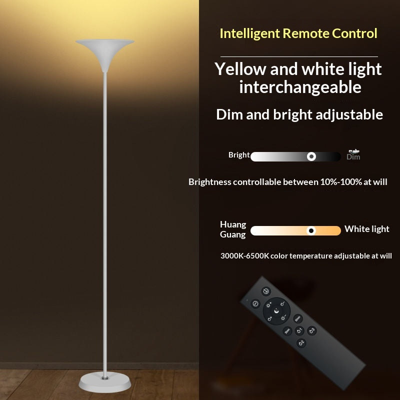 Minimalist Floor Lamp