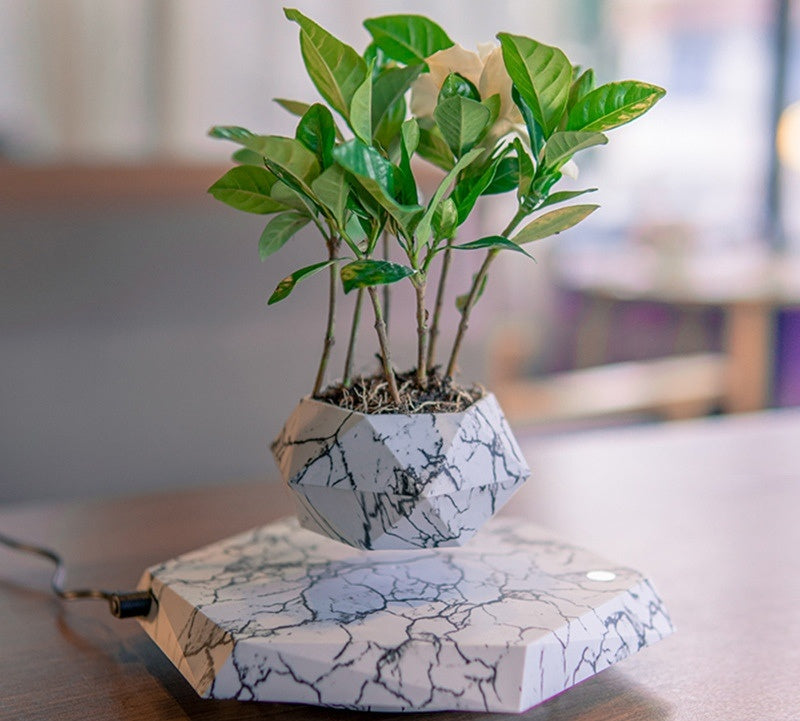 Magnetic Levitation Floating Plant Pot
