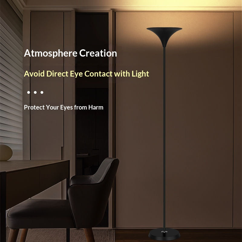 Minimalist Floor Lamp