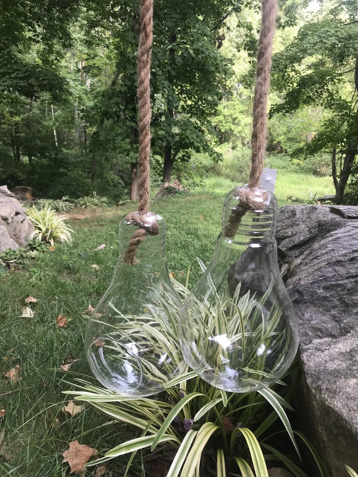 MistHaus Terrarium Night Light - Botanical LED Lamp