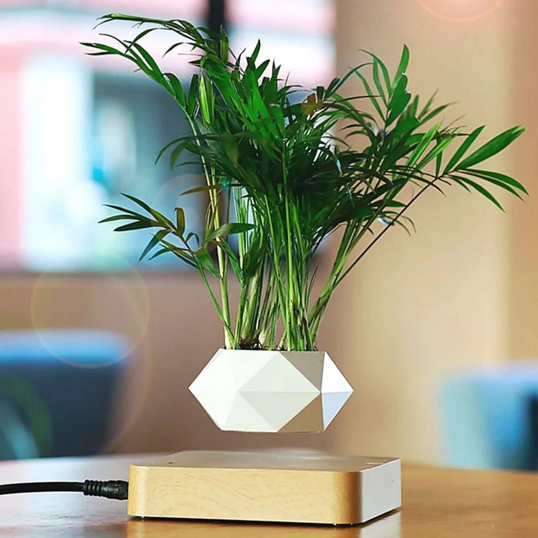 MistHaus Floating Plant Pot - Magnetic Levitation Planter