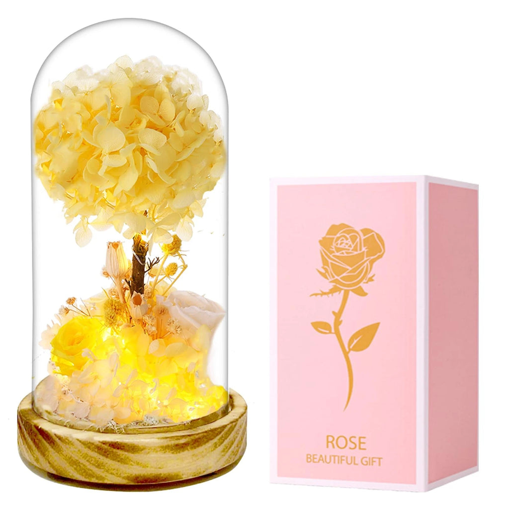 MistHaus Terrarium Night Light - Botanical LED Lamp