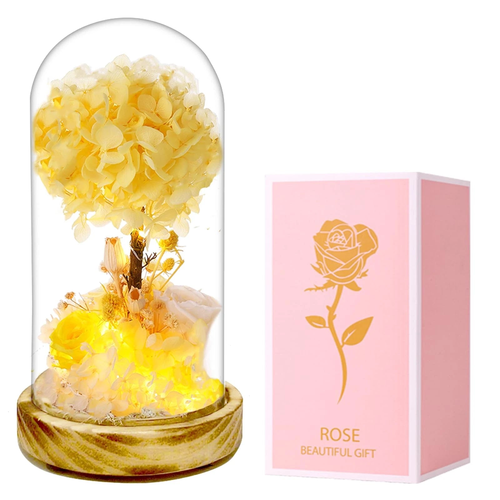 MistHaus Terrarium Night Light - Botanical LED Lamp