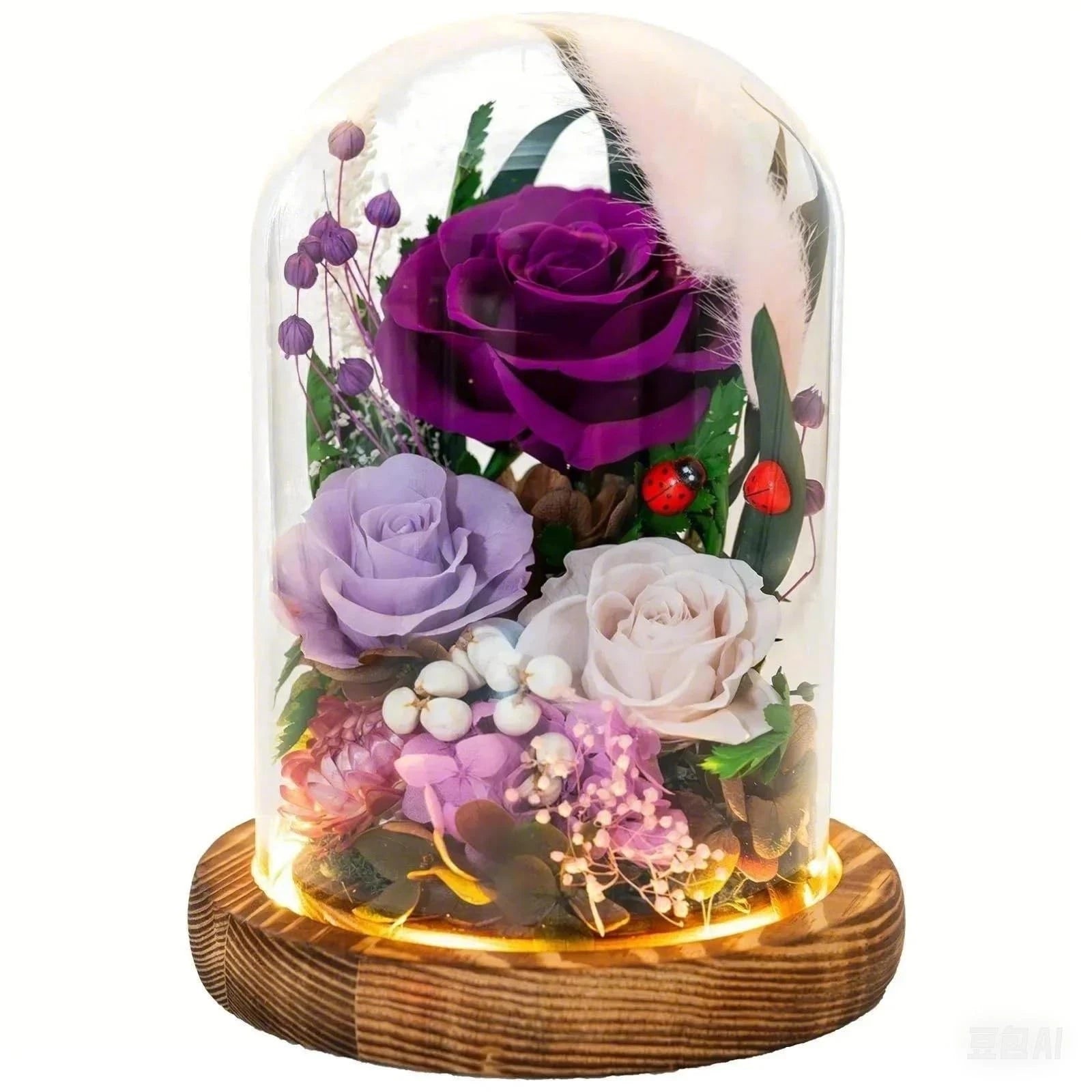 MistHaus Terrarium Night Light - Botanical LED Lamp
